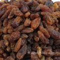 Xinjiang Raisins en vrac séchées Sweet Golden Raisins Kismis